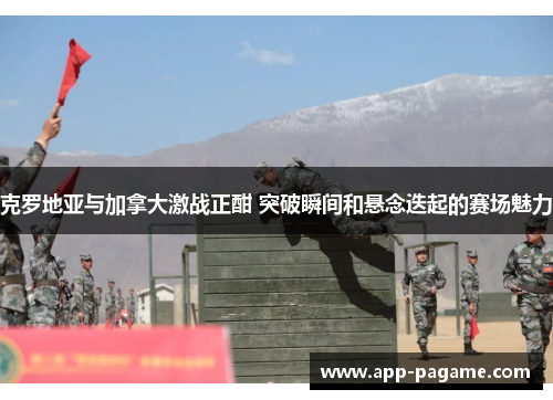 克罗地亚与加拿大激战正酣 突破瞬间和悬念迭起的赛场魅力