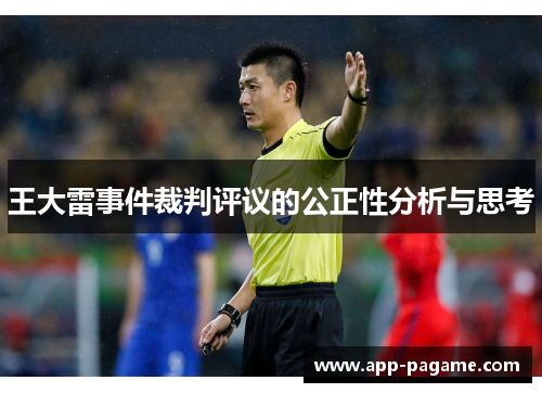 王大雷事件裁判评议的公正性分析与思考