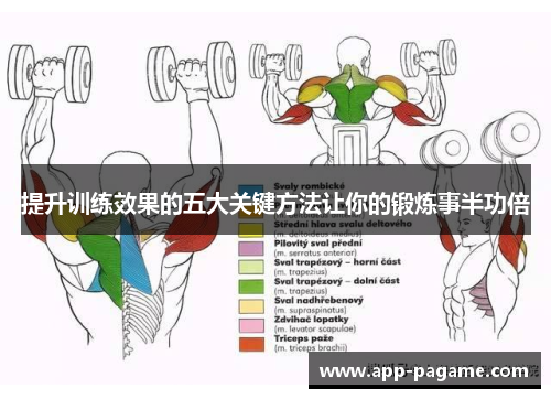 提升训练效果的五大关键方法让你的锻炼事半功倍
