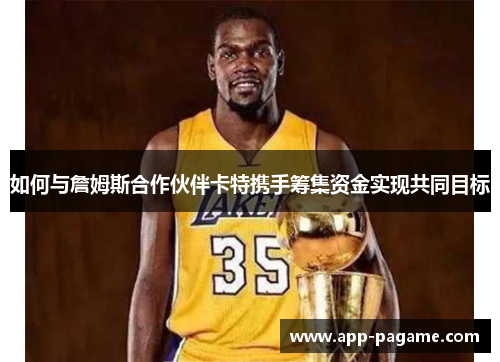 如何与詹姆斯合作伙伴卡特携手筹集资金实现共同目标