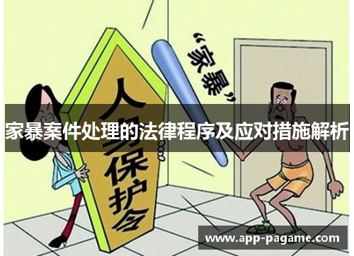 家暴案件处理的法律程序及应对措施解析