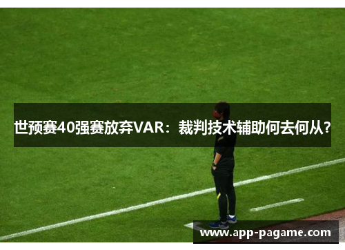 世预赛40强赛放弃VAR：裁判技术辅助何去何从？