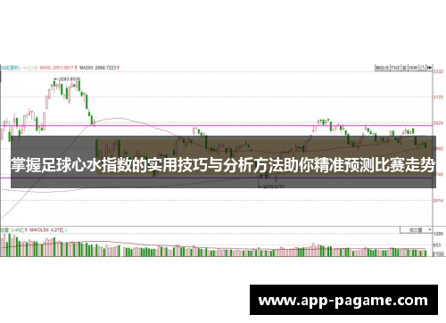 掌握足球心水指数的实用技巧与分析方法助你精准预测比赛走势