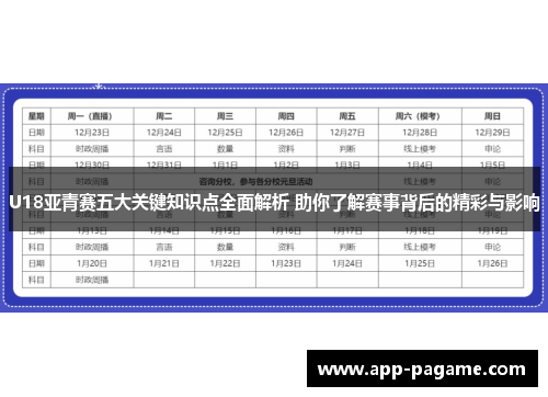 U18亚青赛五大关键知识点全面解析 助你了解赛事背后的精彩与影响