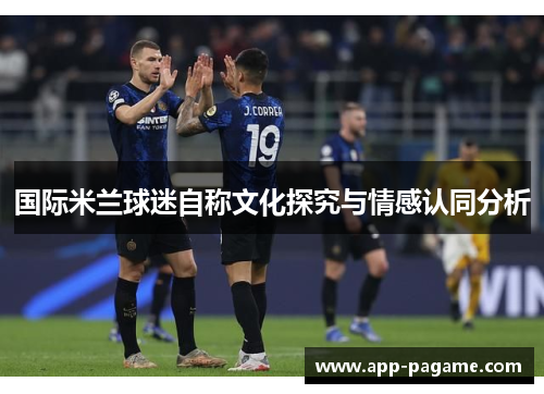 国际米兰球迷自称文化探究与情感认同分析
