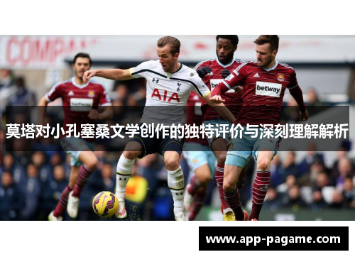 莫塔对小孔塞桑文学创作的独特评价与深刻理解解析