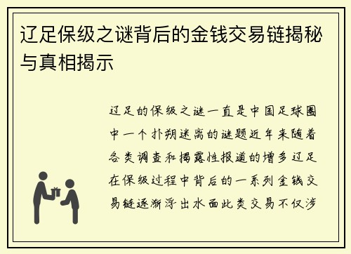 辽足保级之谜背后的金钱交易链揭秘与真相揭示