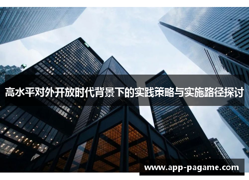 高水平对外开放时代背景下的实践策略与实施路径探讨
