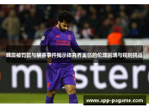 魏震被罚款与禁赛事件揭示体育界面临的伦理困境与规则挑战