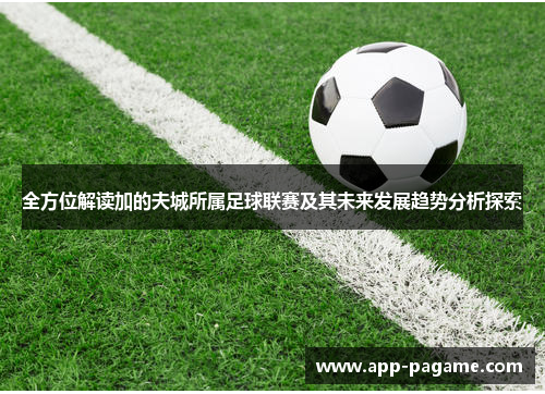 全方位解读加的夫城所属足球联赛及其未来发展趋势分析探索