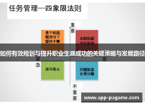 如何有效规划与提升职业生涯成功的关键策略与发展路径