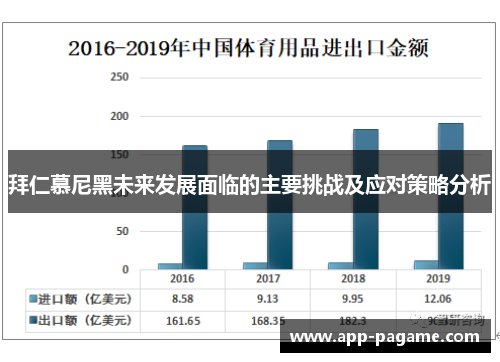 拜仁慕尼黑未来发展面临的主要挑战及应对策略分析