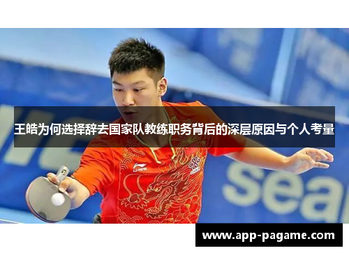 王皓为何选择辞去国家队教练职务背后的深层原因与个人考量